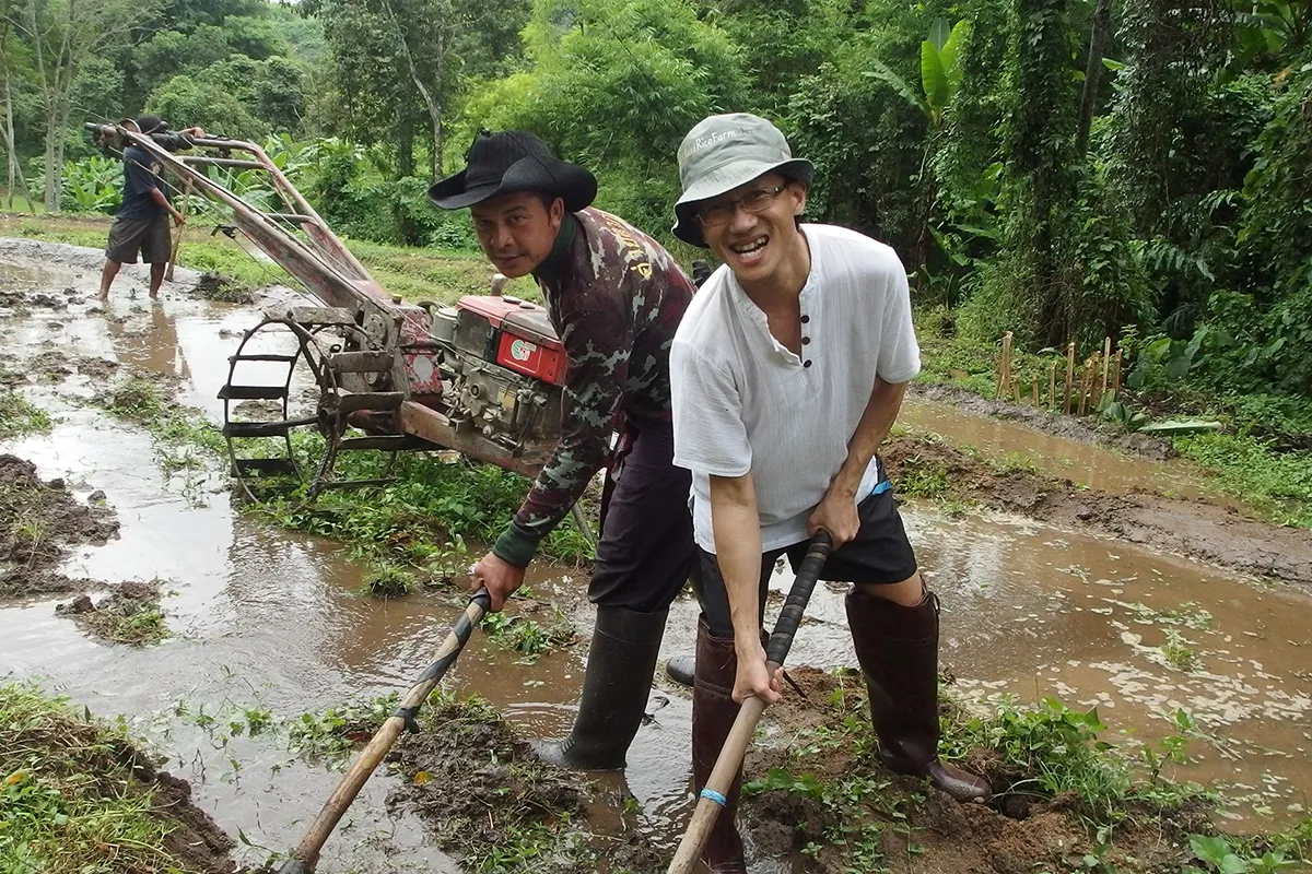 TigerlandRiceFarm in Chiang Rai, Thailand